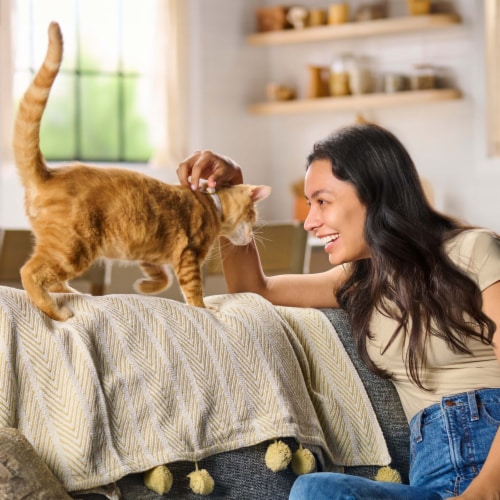 Meow Mix Gravy Bursts Savory Chicken Flavor Mix with Gravy Filled Pieces, Dry Cat Food, 3 Pound Bag Perspective: right
