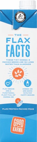 Good Karma Foods Omega 3 + Protein Vanilla Lightly Sweetened Flaxmilk Perspective: right