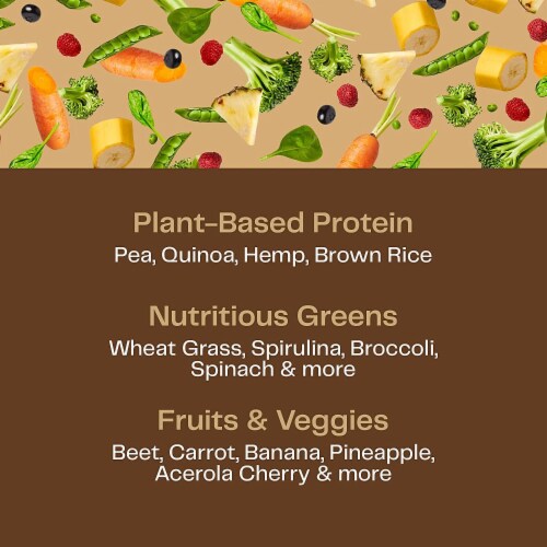 Amazing Grass Organic Plant Protein Blend: Vegan Rich Chocolate Protein Powder Perspective: right