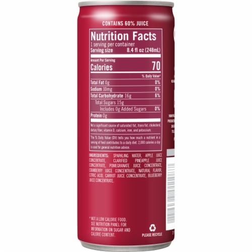 IZZE® Pomegranate Sparkling Juice Can Perspective: right