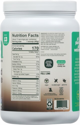 Vega® Real Food Smoothie Chocolate Peanut Butter Blast Protein Powder Perspective: right