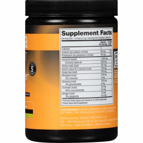 Vega Sport PlantBased PreWorkout Energizer Acai Berry Powder Drink