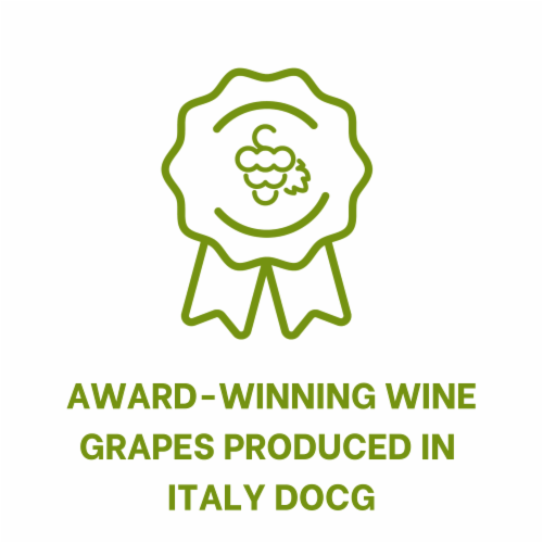 The Recipient Pinot Grigio White Italian Wine Perspective: right