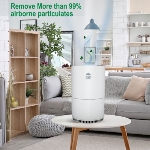 WBM International Air Purifier - White Perspective: right