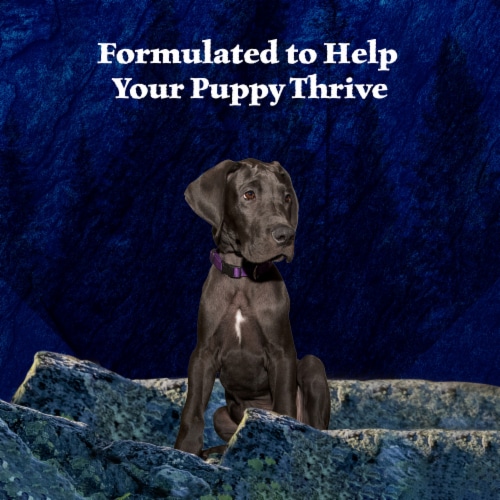 Blue Buffalo Wilderness High-Protein Grain-Free Puppy Wet Dog Food Turkey & Chicken Perspective: right