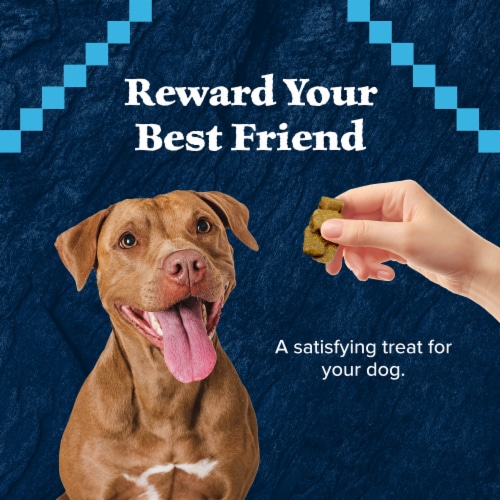 Blue Buffalo Wilderness Grain-Free Wild Bits Soft Dog Treats Salmon Perspective: right
