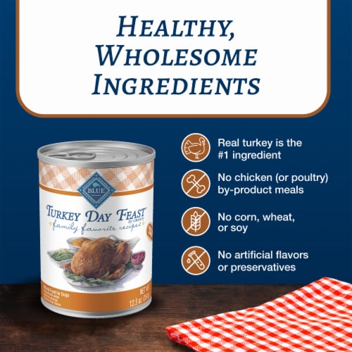 Blue Buffalo Family Favorite Recipes Turkey Day Feast Wet Dog Food Perspective: right