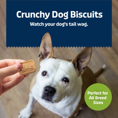 Blue Buffalo Health Bars Crunchy Biscuits Dog Treats Natural Apple & Yogurt Perspective: right