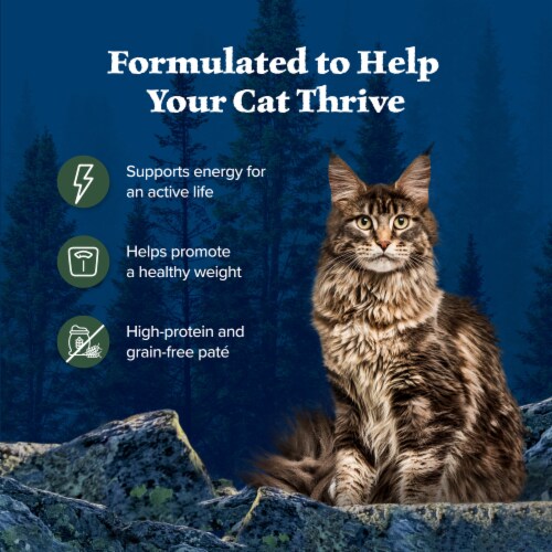 Blue Buffalo Wilderness High-Protein Grain-Free Adult Pate Wet Cat Food Turkey Perspective: right