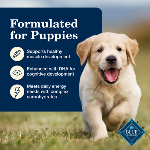 Blue Buffalo Homestyle Natural Puppy Wet Dog Food Chicken Dinner Perspective: right