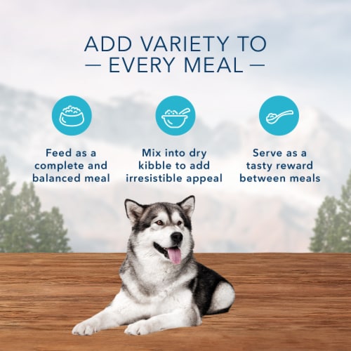 Blue Buffalo Wilderness Beef Grill Trail Trays Wet Dog Food Perspective: right