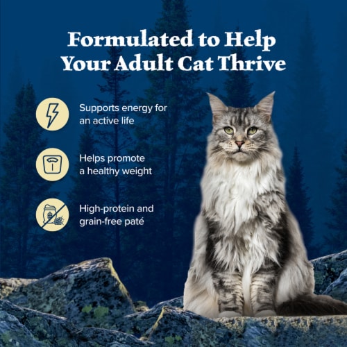 Blue Buffalo Wilderness High-Protein Grain Free Adult Pate Wet Cat Food Variety Pack Perspective: right