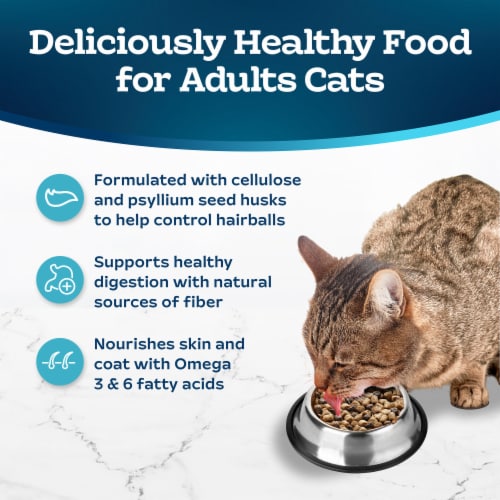 Blue Buffalo Tastefuls Adult Hairball Control Dry Cat Food Chicken & Brown Rice Perspective: right