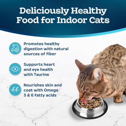 Blue Buffalo Tastefuls Natural Chicken & Brown Rice Recipe Indoor Adult Dry Cat Food Perspective: right