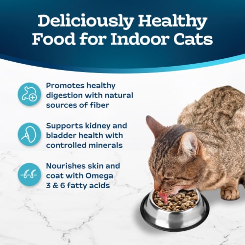 Blue Buffalo Tastefuls Natural Salmon and Brown Rice Indoor Adult Dry Cat Food Perspective: right