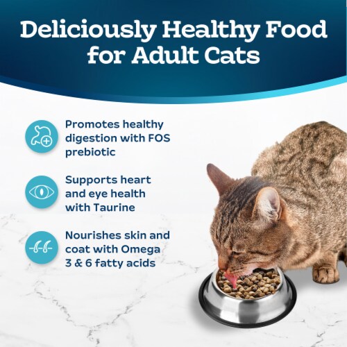 Blue Buffalo Tastefuls Adult Sensitive Stomach Dry Cat Food Chicken & Brown Rice Perspective: right