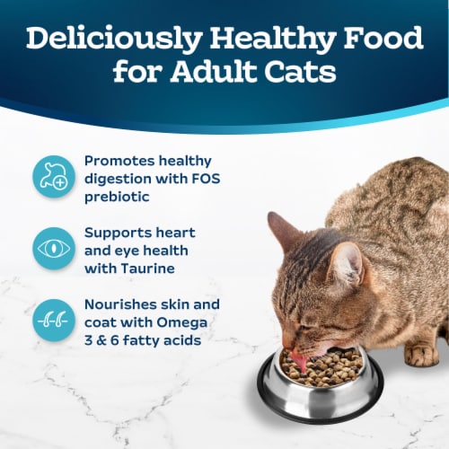 Blue Buffalo Tastefuls Adult Sensitive Stomach Dry Cat Food Chicken & Brown Rice Perspective: right