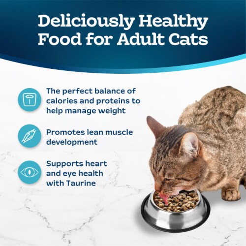 Blue Buffalo Tastefuls Weight Control Natural Chicken and Brown Rice Recipe Adult Dry Cat Food Perspective: right