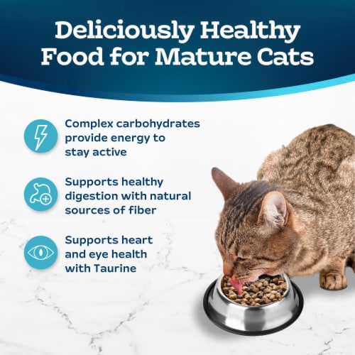 Blue Buffalo Tastefuls Natural Chicken and Brown Rice Adult 7+ Dry Cat Food Perspective: right