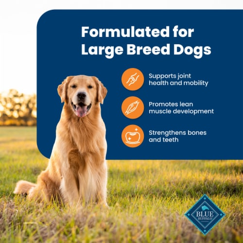 Blue Buffalo Life Protection Formula Natural Chicken and Brown Rice Adult Large Breed Dry Dog Food Perspective: right