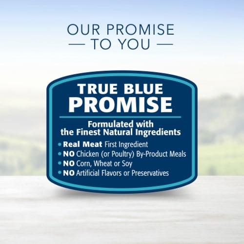 Blue Buffalo Homestyle Recipe Natural Chicken & Beef Adult Wet Dog Food Variety Pack Perspective: right