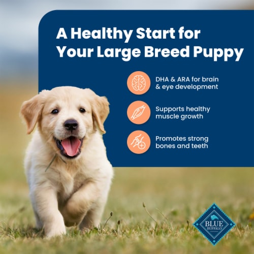 Blue Buffalo Chicken & Brown Rice Large Breed Dry Puppy Food Perspective: right