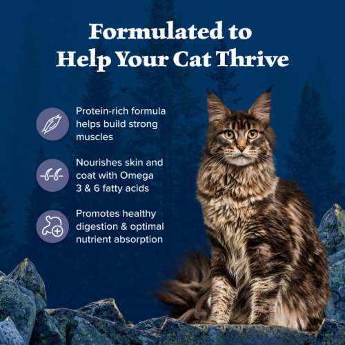 Blue Buffalo Wilderness High-Protein Grain-Free Adult Dry Cat Food Chicken Perspective: right