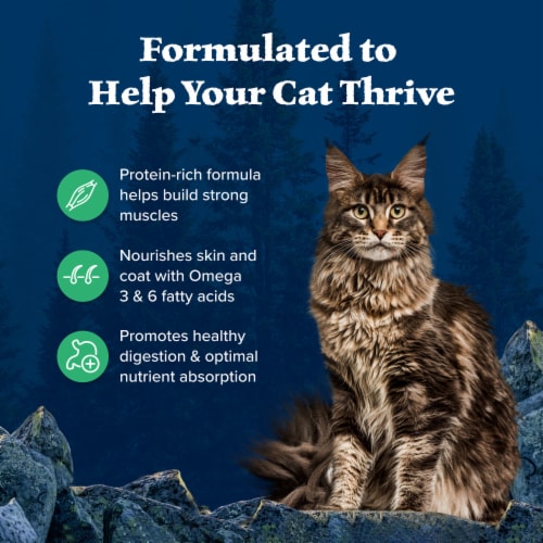 Blue Buffalo Wilderness High Protein Natural Duck Adult Dry Cat Food Perspective: right