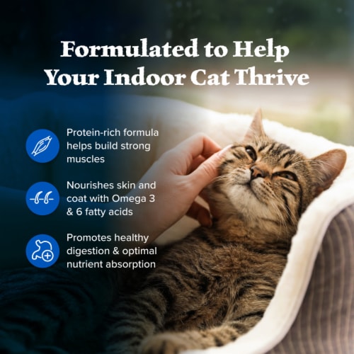 Blue Buffalo Wilderness High-Protein Grain-Free Adult Dry Cat Food Chicken Perspective: right