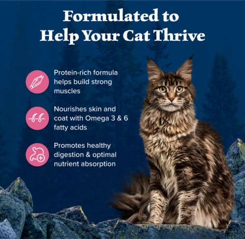 Blue Buffalo Wilderness High-Protein Grain-Free Adult Dry Cat Food Salmon Perspective: right