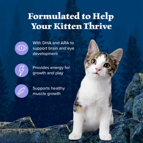 Blue Buffalo Wilderness Kitten High-Protein Grain-Free Dry Cat Food Chicken Perspective: right