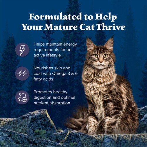 Blue Buffalo Wilderness Mature High-Protein Grain-Free 7+ Dry Cat Food Chicken Perspective: right