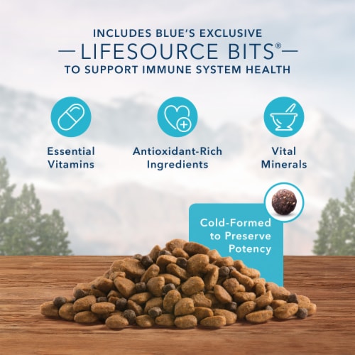 Blue Buffalo Wilderness High Protein Natural Salmon Adult Dry Dog Food Perspective: right