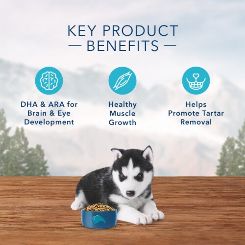Blue Buffalo Wilderness High Protein Natural Chicken Puppy Dry Dog Food Perspective: right