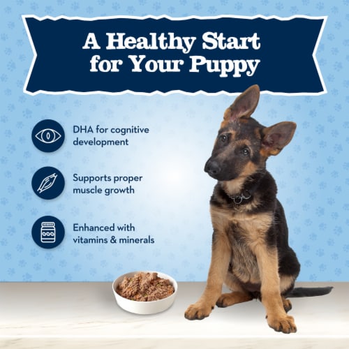 Blue Buffalo Baby BLUE Natural Puppy Wet Dog Food Chicken & Vegetables Perspective: right