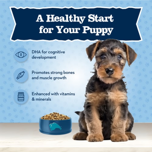 Blue Buffalo Baby BLUE Healthy Growth Formula Natural Chicken and Brown Rice Puppy Dry Dog Food Perspective: right