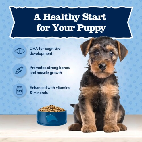 Blue Buffalo Baby BLUE Healthy Growth Formula Natural Chicken and Brown Rice Puppy Dry Dog Food Perspective: right