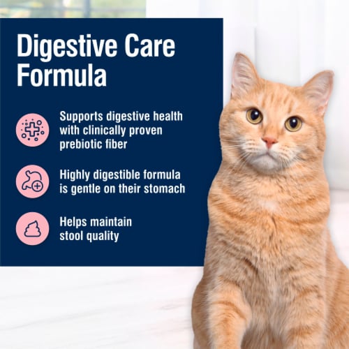 Blue Buffalo True Solutions™ Blissful Belly Chicken Digestive Care Formula Dry Cat Food Perspective: right