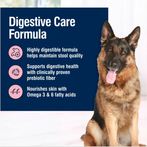 Blue Buffalo True Solutions Blissful Belly Natural Chicken Digestive Care Adult Wet Dog Food Perspective: right