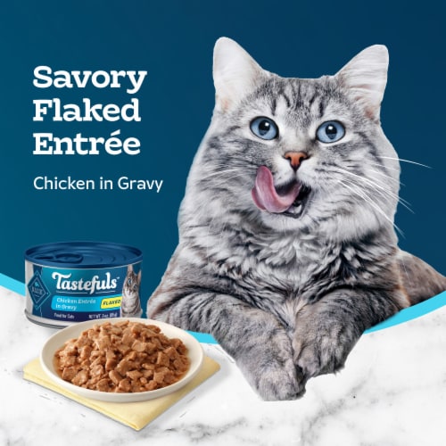 Blue Buffalo Tastefuls Natural Wet Food for Adult Cats Flaked Chicken Entrée in Gravy Perspective: right