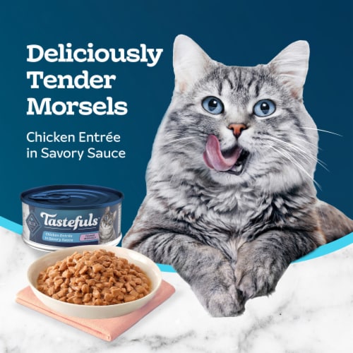 Blue Buffalo Tastefuls Natural Tender Morsels Chicken Entrée in Savory Sauce Wet Cat Food Perspective: right