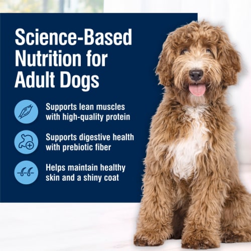 Blue Buffalo True Solutions Best Life Chicken Flavor Medium Breed Adult Dry Dog Food Perspective: right
