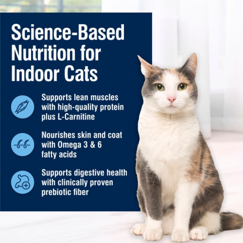 Blue Buffalo True Solution Fab Feline Chicken Natural Indoor Adult Dry Cat Food Perspective: right