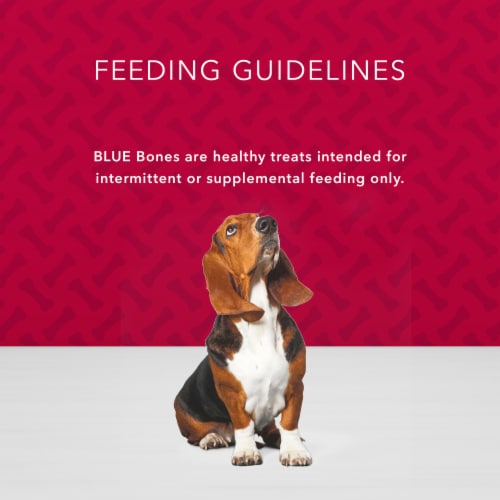 Blue Buffalo™ Bones Beef Small Dog Biscuits Perspective: right