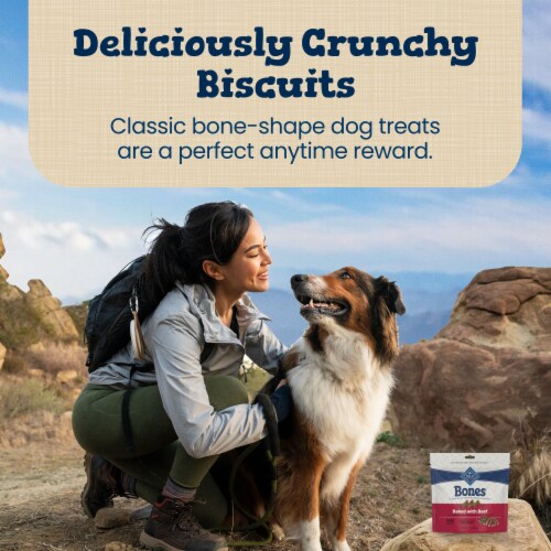 Blue™ Buffalo Bones Beef Flavored Mini Dog Biscuits Perspective: right