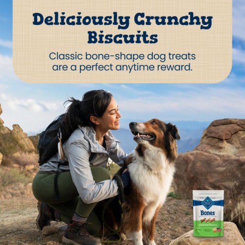 Blue Buffalo Bones Natural Beef Chicken or Bacon Crunchy Dog Treats Small Dog Biscuits Perspective: right