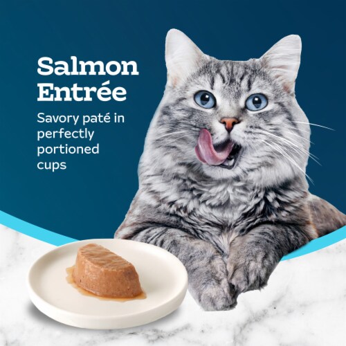 Blue Buffalo Tastefuls Spoonless Singles Salmon Entrée Adult Pate Wet Cat Food Perspective: right