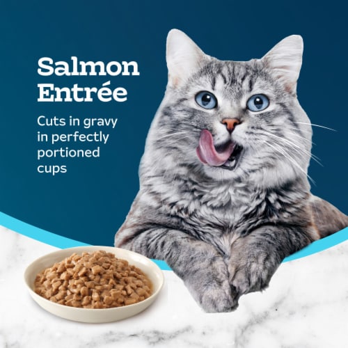 Blue Buffalo Tastefuls Savory Singles Natural Salmon Entrée Adult Wet Cat Food Perspective: right