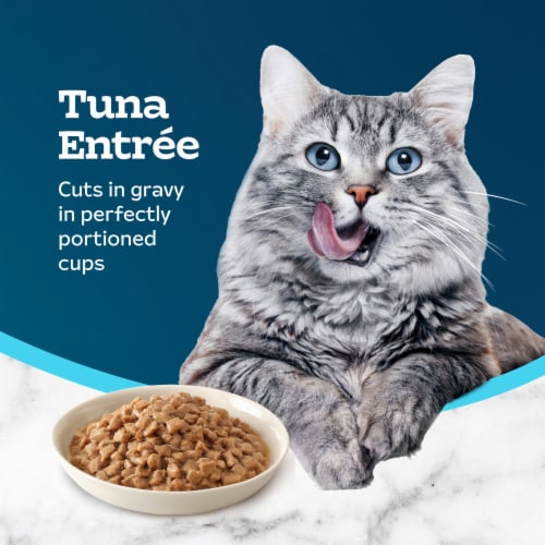 Blue Buffalo Tastefuls Savory Singles Natural Wet Cat Food Gravy Twin-Pack Tuna Perspective: right
