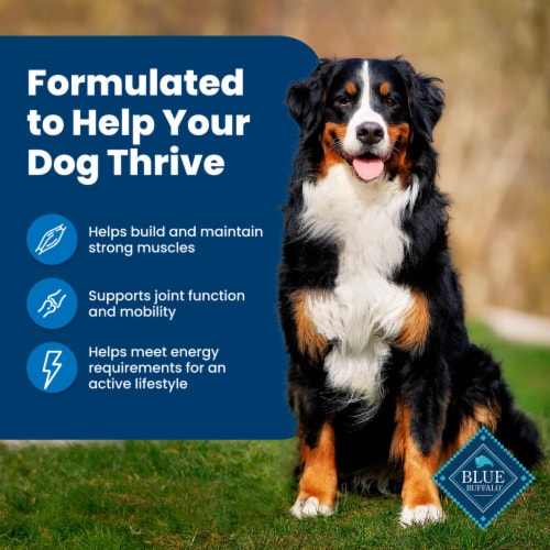 Blue Buffalo Life Protection Formula Natural Chicken and Brown Rice Adult Dry Dog Food Perspective: right